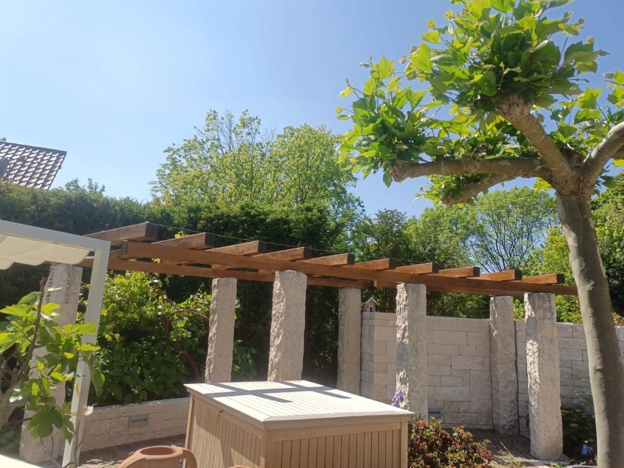 Sonstiges Holz Schenda (19)