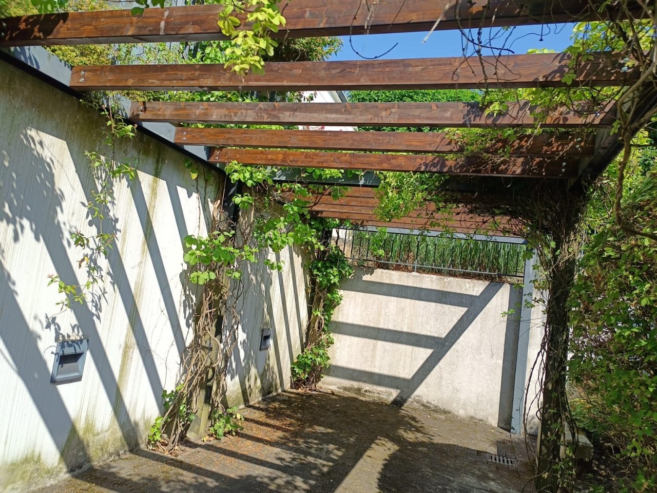 Sonstiges Holz Schenda (23)