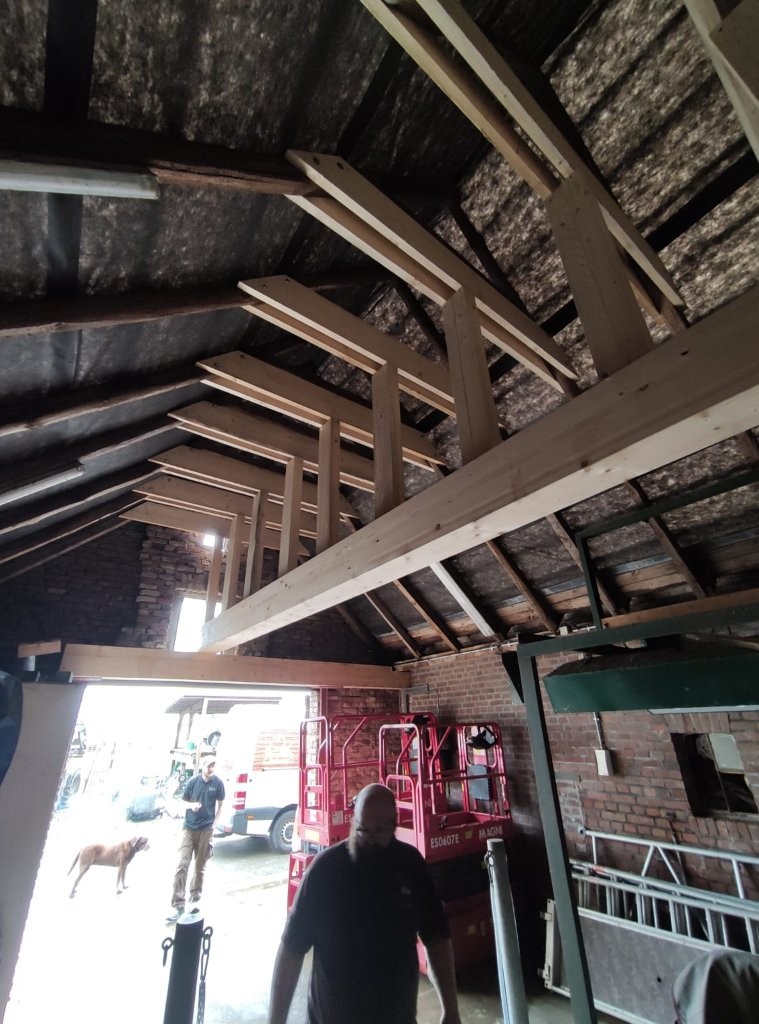 Sonstiges Holz Schenda (34)