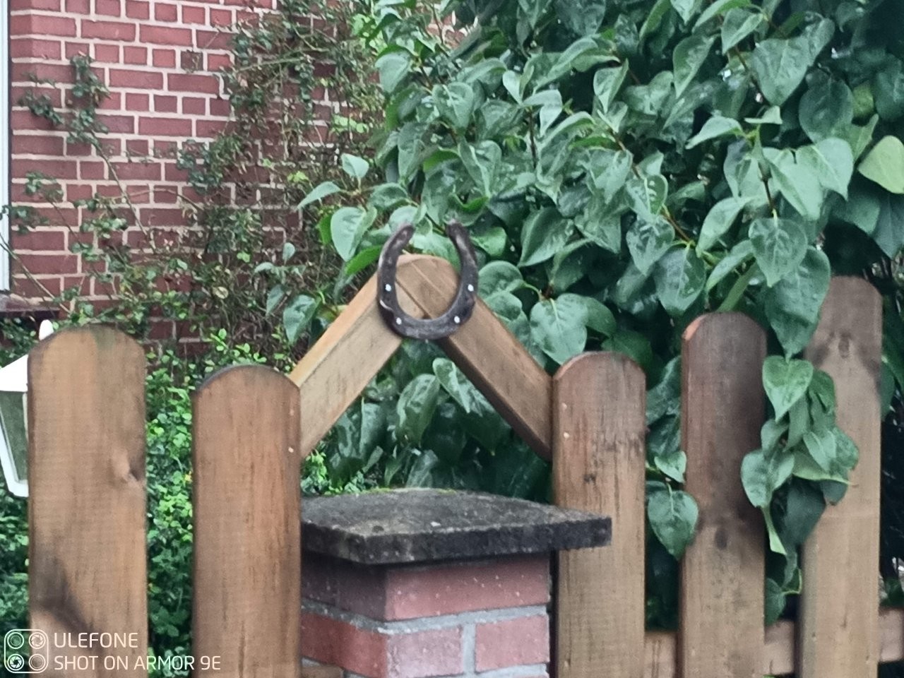 Sonstiges Holz Schenda (6)